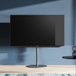  LOEWE BILD V 55 DR+