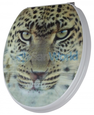 Leopard    3D  
